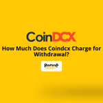 How Much Does Coindcx Charge for Withdrawal?